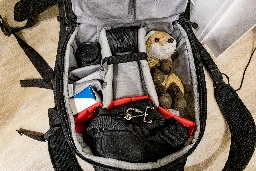 A red fox plushy relaxing inside a backpack next to a camera and some lenses.