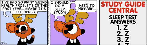 3 panel comic. First panel, Rae the Doe says, "I've had so many weird health problems in the past year... maybe it's sleep apnea." Panel 2: Rae says, "I should do a sleep study! I need to prepare..." Panel 3: (A worksheet titled, "Study Guid Central" shows the "sleep test answers." 1. Z, 2. Z, 3. Z, etc.