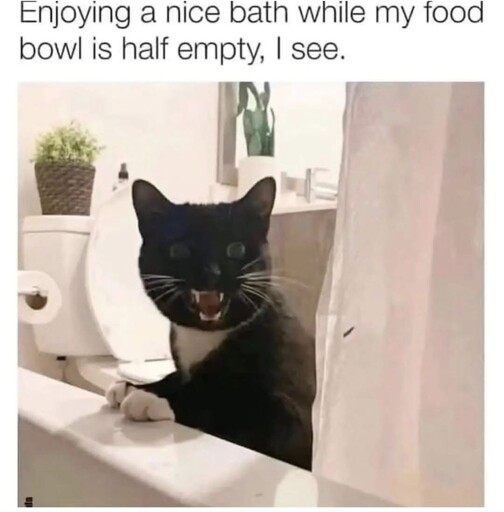 How dare you!