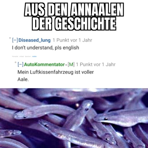 Meme-Überschrift: Aus den Annaalen der Geschichte

Darunter ein Screenshot zweier Reddit-Kommentare: "I don't understand, pls english". Als Antwort darauf: "Mein Luftkissenfahrzeug ist voller Aale".

Darunter ein Bild von einer Menge Aale.