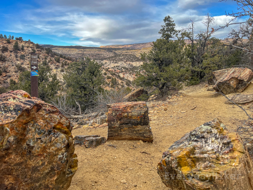 A few large stumps of petrified wood lay about the trail in the typical red and yellow colors for the area. A signpost pointing the direction for the sleeping rainbow trail is also visible along with a view towards the valley in the distance.